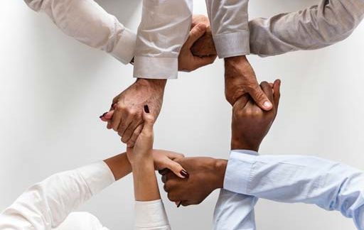 Réseau de partenaires experts