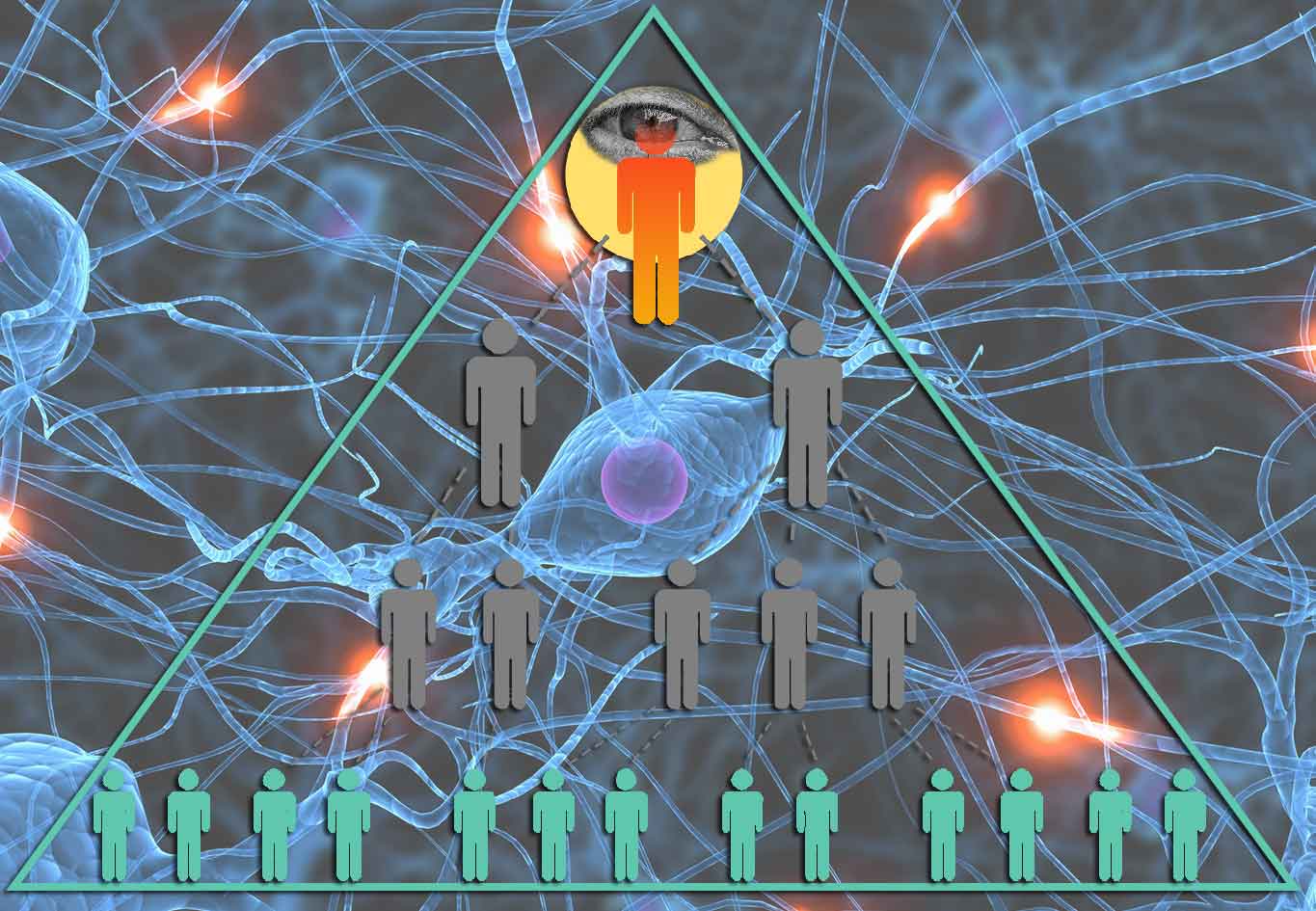 Pyramide du pouvoir et organisme vivant
