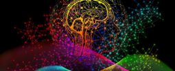 Energie, information, cerveau et comportement du vivant