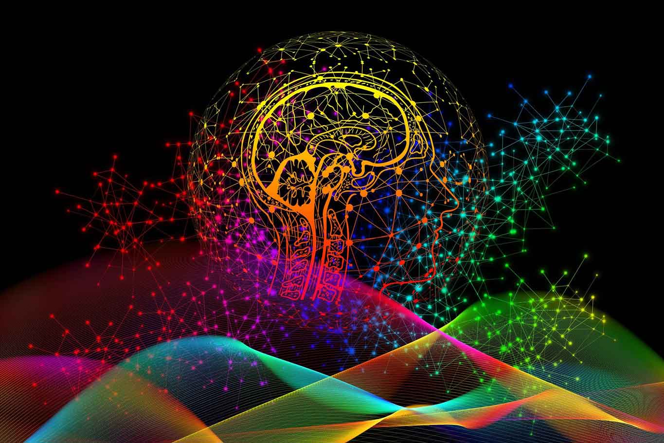Energie, information, cerveau et comportement du vivant