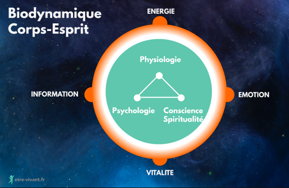 Biodynamique selon énergie, émotion, vitalité, information pour les 3 plans physiologiques, spirituel conscience et psychologique