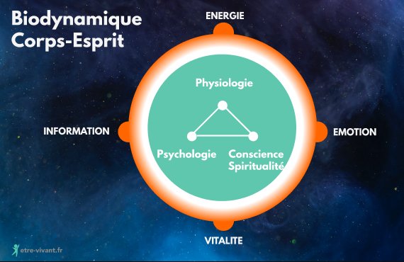 Biodynamique selon énergie, émotion, vitalité, information pour les 3 plans physiologiques, spirituel conscience et psychologique