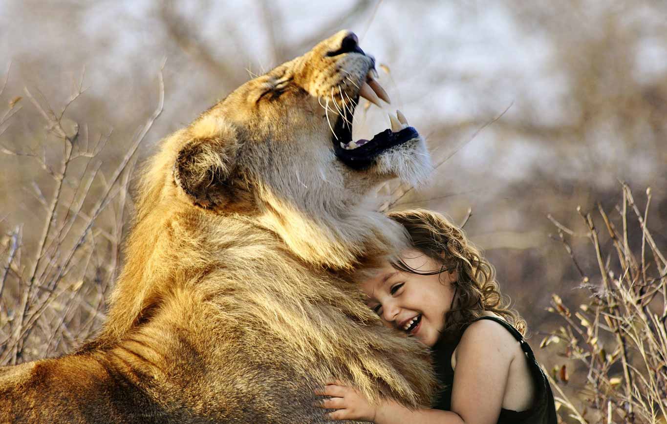 Enfant câlinant une lionne