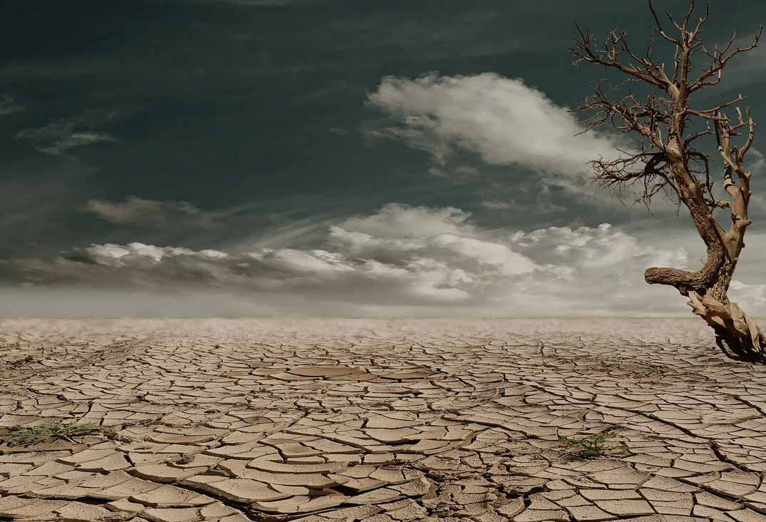 Terre aride, arbre mort, sécheresse, climat, nuages