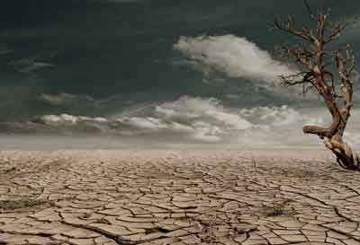 Sécheresse et arbre mort, naturels et non lié au CO2