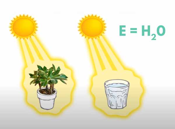 Le soleil apporte l'énergie via les molécules d'eau