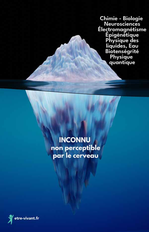 Iceberg de la connaisance, où les sciences représentent la partie émergée, la partie immergée étant imperceptible pour le cerveau